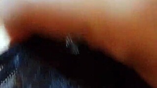 flash fica e slip